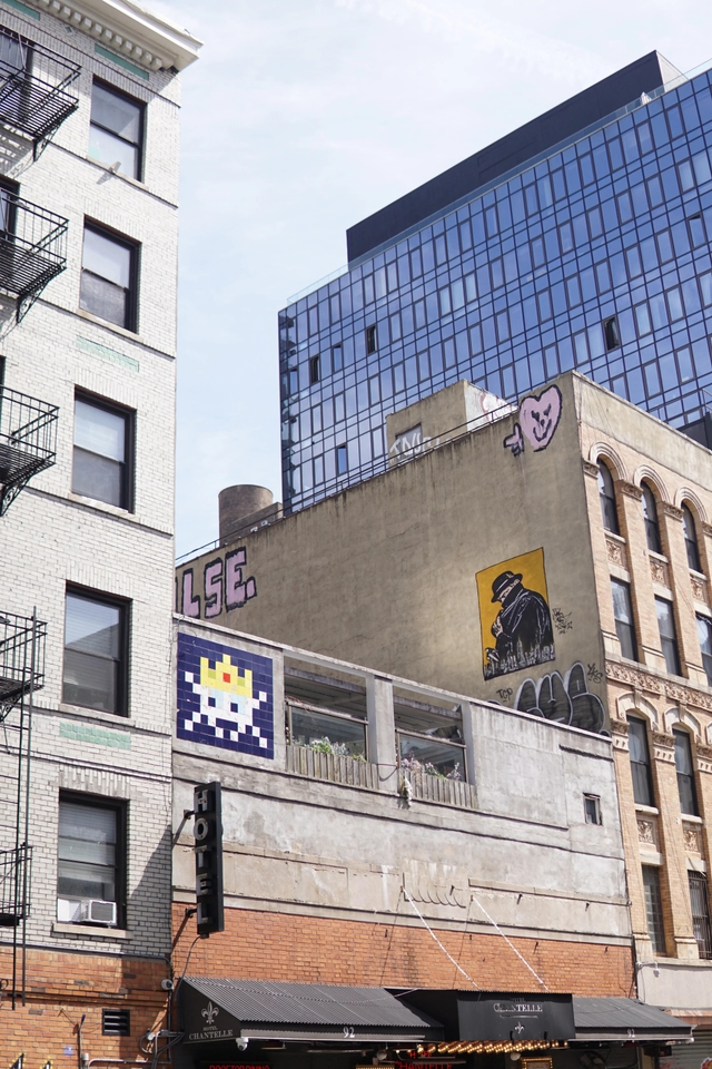 image skateboard portrait